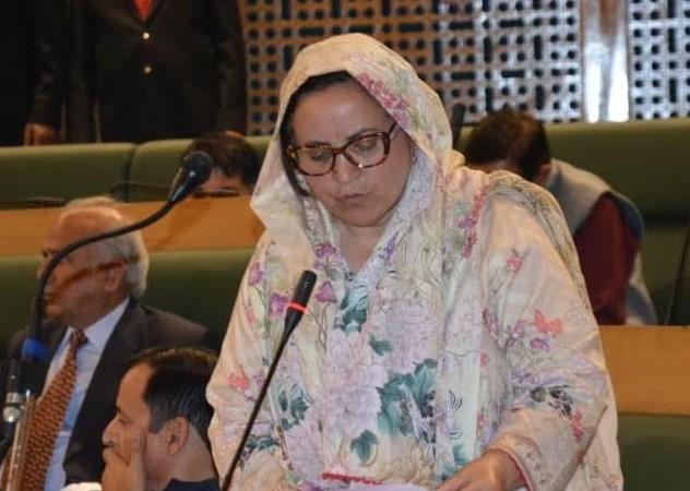 Rajiv Gandhi Hospital Gangyal functioning as a 50-bedded health facility: Sakeena Itoo
