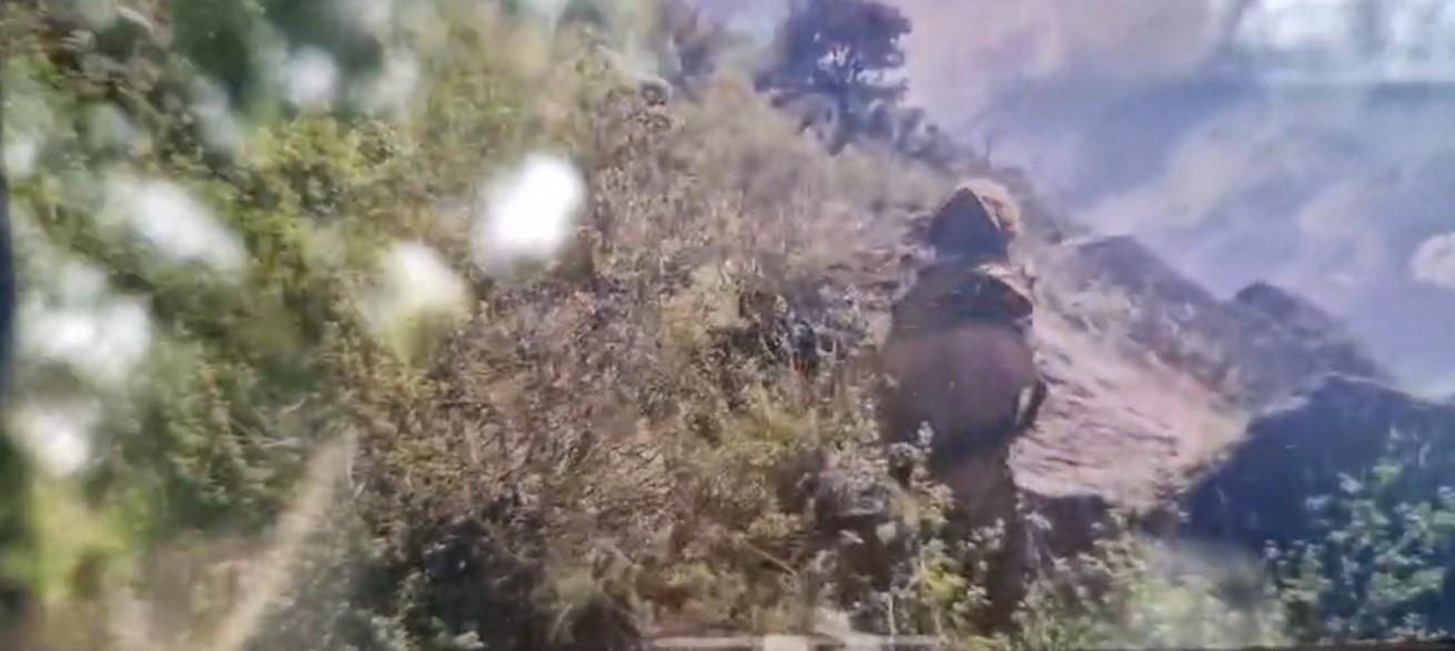 Encounter In J&K's Kishtwar, Terrorists Trapped After Army Ops