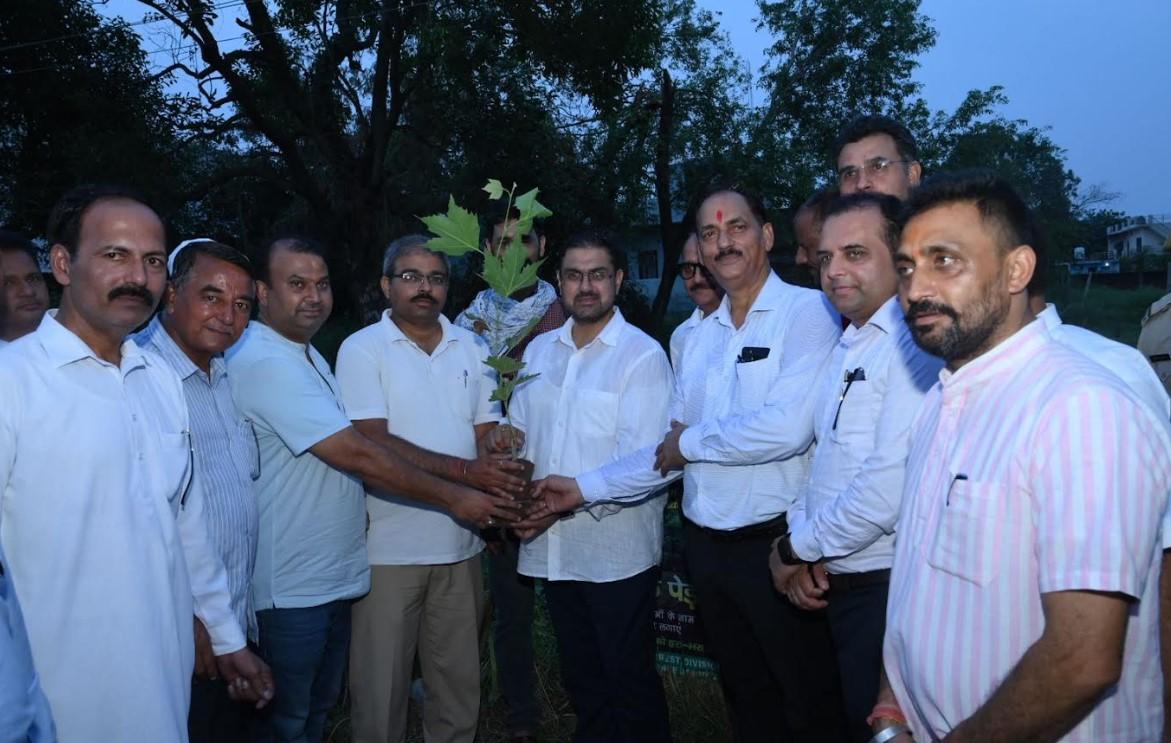 Satish Sharma launches plantation drive
