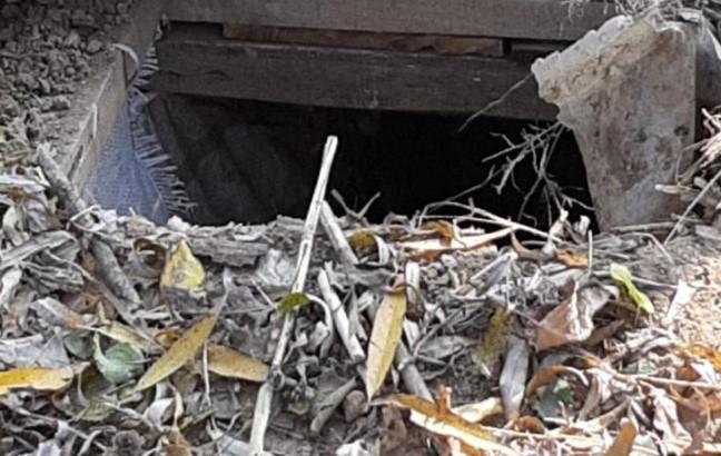 Terror hideout busted in Suchliwaran forest Baramulla; arms, ammunition recovered