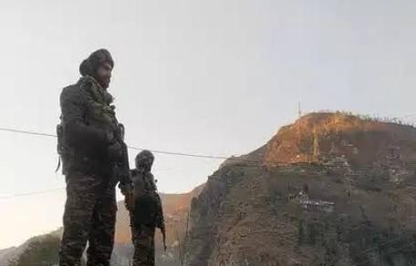 Search operation launched in J-K's Poonch forests after suspicious movement