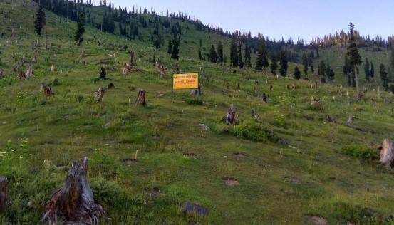 J&K Forest Department Issues Fresh Guidelines on Forest Rights, Encroachments