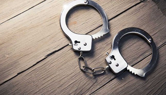 J&K Police seized 45 kg poppy straw, peddler booked under NDPS Act