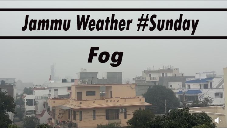#jammu शहर में चारों ओर धुँध, क्या कल #school खुलने चाहिए ! #parents #jkgovt #sunday