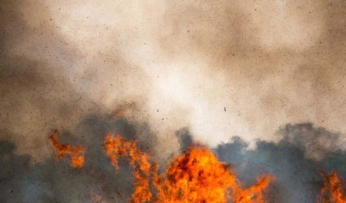 Fresh landmine blasts along LoC as forest fire rages for second day in Poonch