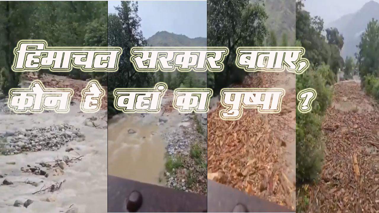 हिमाचल सरकार बताए, कौन है वहां का #Pushpa ? बादल फटा, लाखों कटे हुए पेड़ पानी में बहते हुए दिखाई दिए