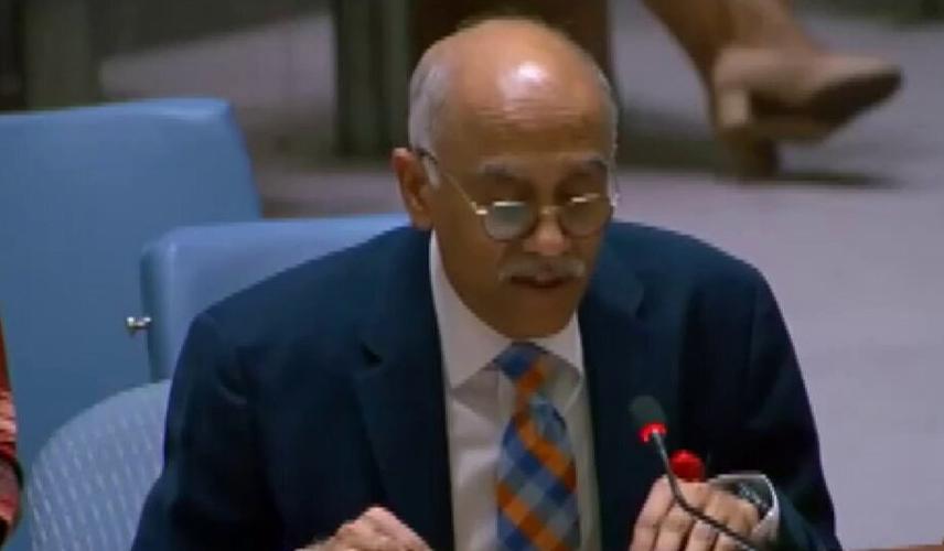 India takes down Pakistan's 'delusional tirade' on Jammu and Kashmir at UNSC