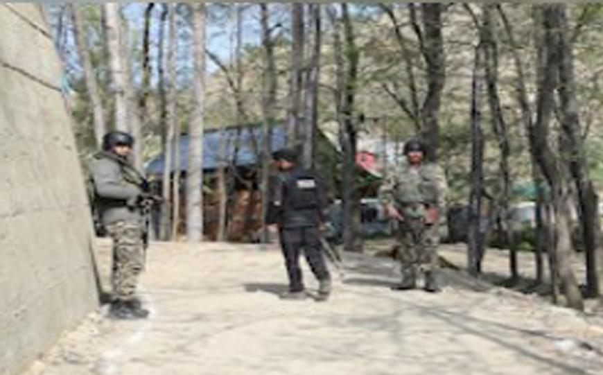 Arms, Ammunition Seized from Srinagar Graveyard in Late-Night Raid