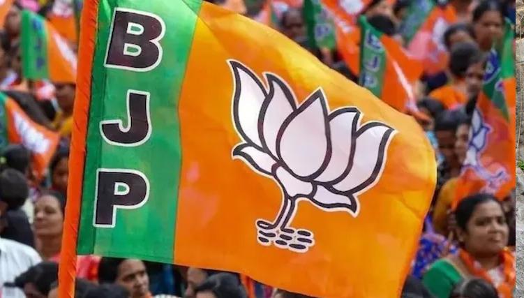 BJP to announce new party president on Jan 20