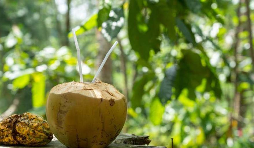 5 summer drinks that instantly cool the body