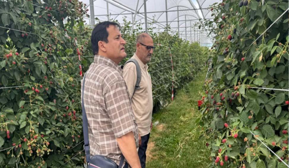 J&K explores global best practices to modernise horticulture sector, enhance farmer income