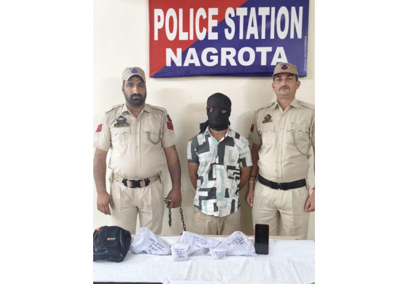 OGW held with 3 pistols in Jammu; search operation underway in Kathua